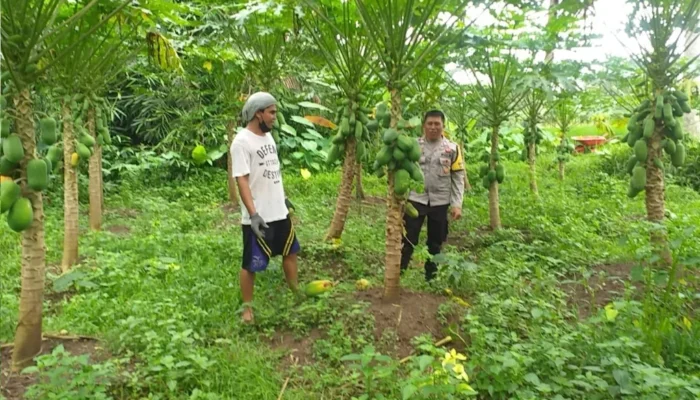 Edukasi Pemanfaatan Lahan Kosong oleh Bhabinkamtibmas Jagaraga