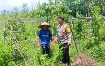 Dukung Kedaulatan Pangan, Polsek Gerung Motivasi Petani Lokal