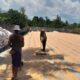 Sinergi Bhabinkamtibmas dan Petani Dasan Tapen Garap Lahan Produktif