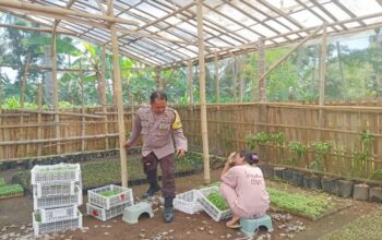 Warga Banyu Urip Lombok Barat Sulap Pekarangan Jadi Lahan Pangan