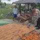 Langkah Polsek Labuapi Optimalkan Lahan Produktif di Kuranji Dalang