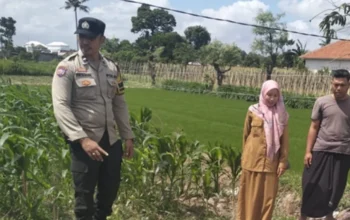 Cara Polsek Labuapi Wujudkan Kemandirian Pangan dari Pekarangan
