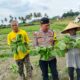 BKTM Desa Bagik Papan Silaturahmi dan Cek Panen Sayur, Dukung Ketahanan Pangan serta Himbau Kamtibmas