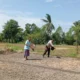 Aksi Bhabinkamtibmas Labuapi Dorong Produktivitas Petani Lokal