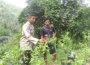 Cara Polsek Batulayar Wujudkan Kemandirian Pangan di Desa