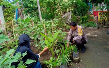 Bhabinkamtibmas Perampuan Gerakkan Program Pekarangan Bergizi di Labuapi
