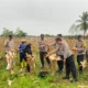 Strategi Cerdas Polres Lombok Barat: Amankan Rantai Distribusi Panen Jagung