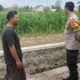 Ubah Lahan Tidur Jadi Produktif, Aksi Nyata Polsek Labuapi Kawal Program Ketahanan Pangan Nasional di Desa