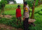Polsek Labuapi Dorong Program Ketahanan Pangan di Desa
