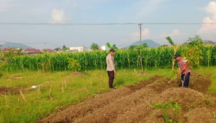 Langkah Strategis Polsek Labuapi Optimalkan Lahan Tidur demi Perkuat Ketahanan Pangan Nasional dari Desa