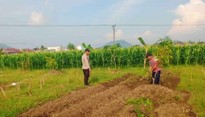 Bhabinkamtibmas Karang Bongkot Dorong Ketahanan Pangan