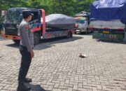 Pengiriman Hewan Ternak di Pelabuhan Lembar Kini Nihil Antrean