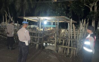 Polsek Sekotong Patroli Malam Cegah Pencurian Sapi