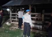 Jaga Kamtibmas, Polsek Sekotong Sambangi Kandang Ternak Dini Hari