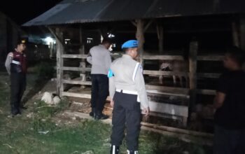 Jaga Kamtibmas, Polsek Sekotong Sambangi Kandang Ternak Dini Hari