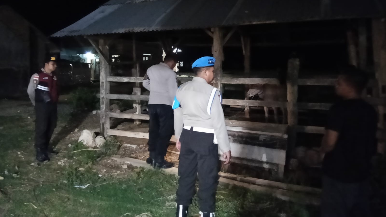 Jaga Kamtibmas, Polsek Sekotong Sambangi Kandang Ternak Dini Hari