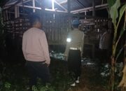 Polsek Lembar Gencarkan Patroli Malam Cegah Pencurian Ternak