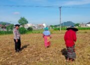 Cara Polsek Labuapi Motivasi Petani Sawah di Karang Bongkot