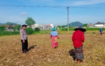 Cara Polsek Labuapi Motivasi Petani Sawah di Karang Bongkot