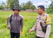 Polsek Labuapi Sambangi Petani, Jaga Stabilitas Pangan