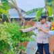 Wujudkan Ketahanan Pangan Nasional, Polisi di Labuapi Jemput Bola Motivasi Masyarakat Tanam Komoditas Hortikultura di Desa