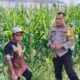 Sinergi Polri dan Petani Labuapi: Langkah Nyata Wujudkan Swasembada Pangan dari Akar Rumput