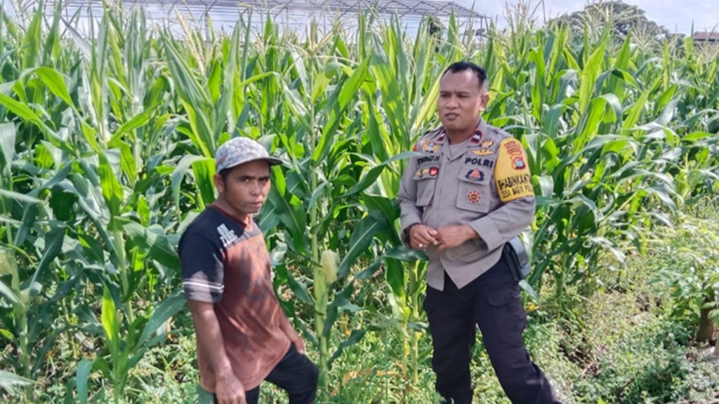 Polsek Labuapi Kawal Ketahanan Pangan di Desa Bagik Polak