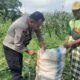 Bhabinkamtibmas Labuapi Motivasi Petani Manfaatkan Pekarangan