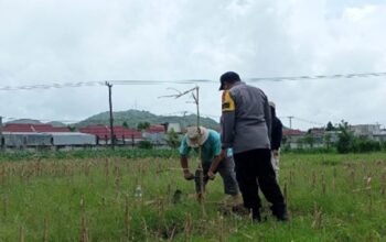 Sinergi Polsek Labuapi Perkuat Ketahanan Pangan Desa