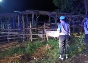 Jaga Kamtibmas, Polsek Sekotong Patroli Kandang Ternak Dini Hari